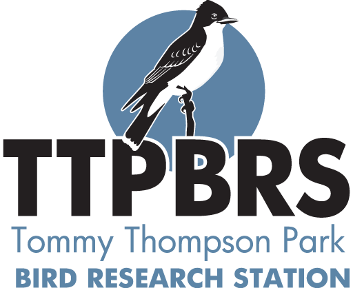 TTPBRS - Tommy Thompson Park Bird Research Station TTPBRS - Tommy Thompson Park Bird Research Station logo