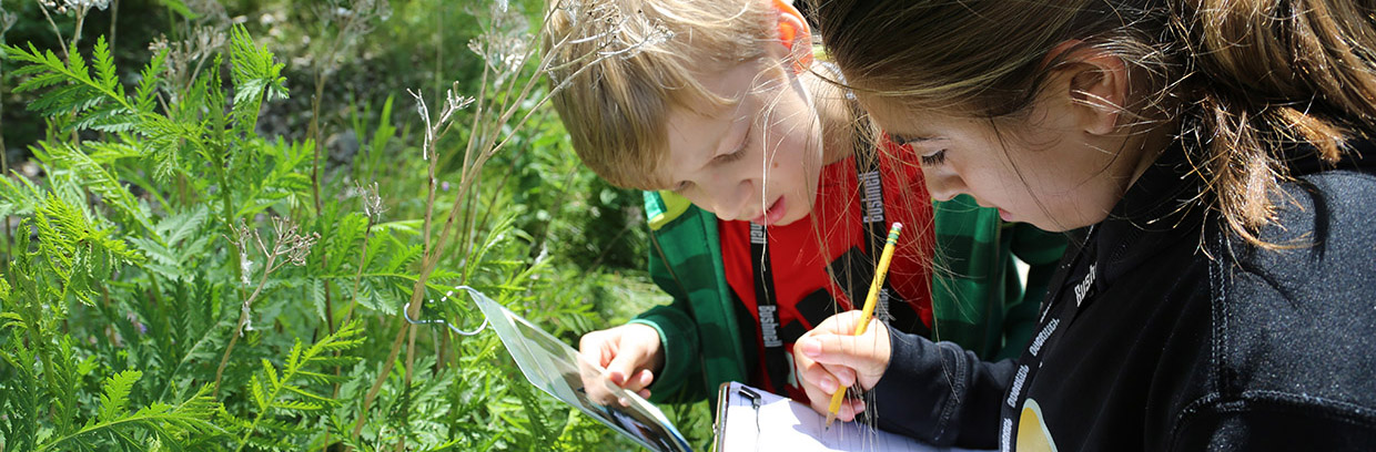 Children take part in outdoor education program during a school field trip at Tommy Thompson Park