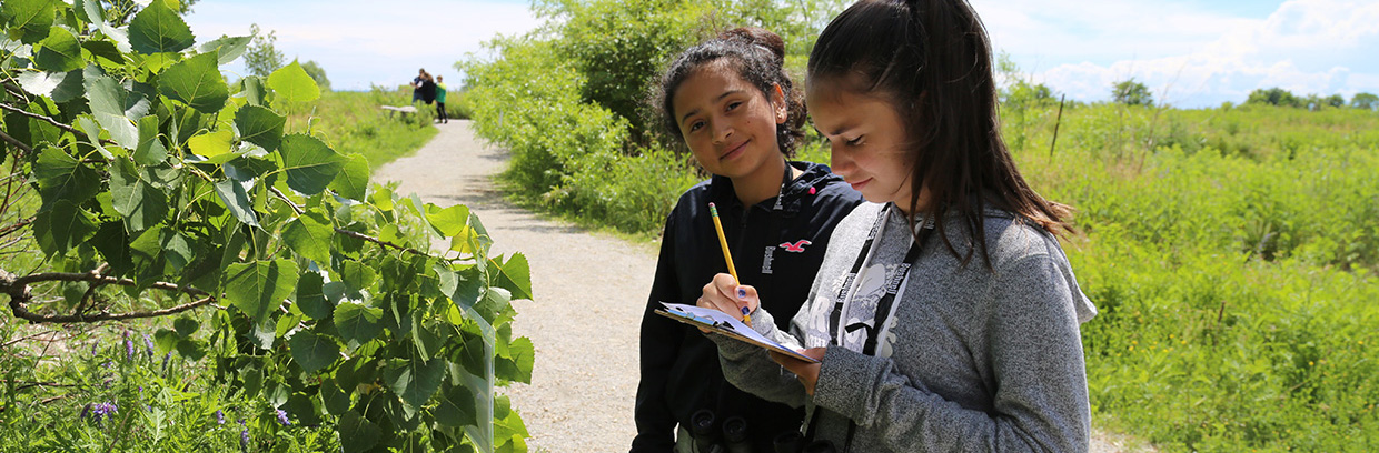 children take part in wildlife education program at Tommy Thompson Park