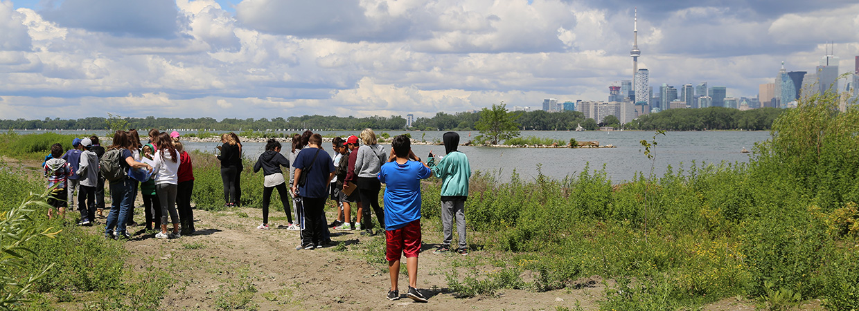 children take part in wildlife education program at Tommy Thompson Park
