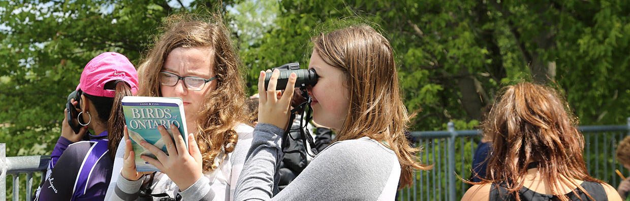 Students take part in Winged Migration program at Tommy Thompson Park, and learn about the bird migration through Toronto.