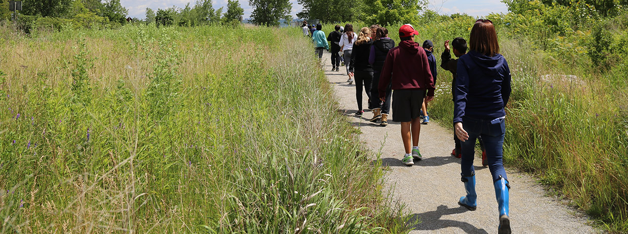 High school students explore the trails at Tommy Thompson Park.
