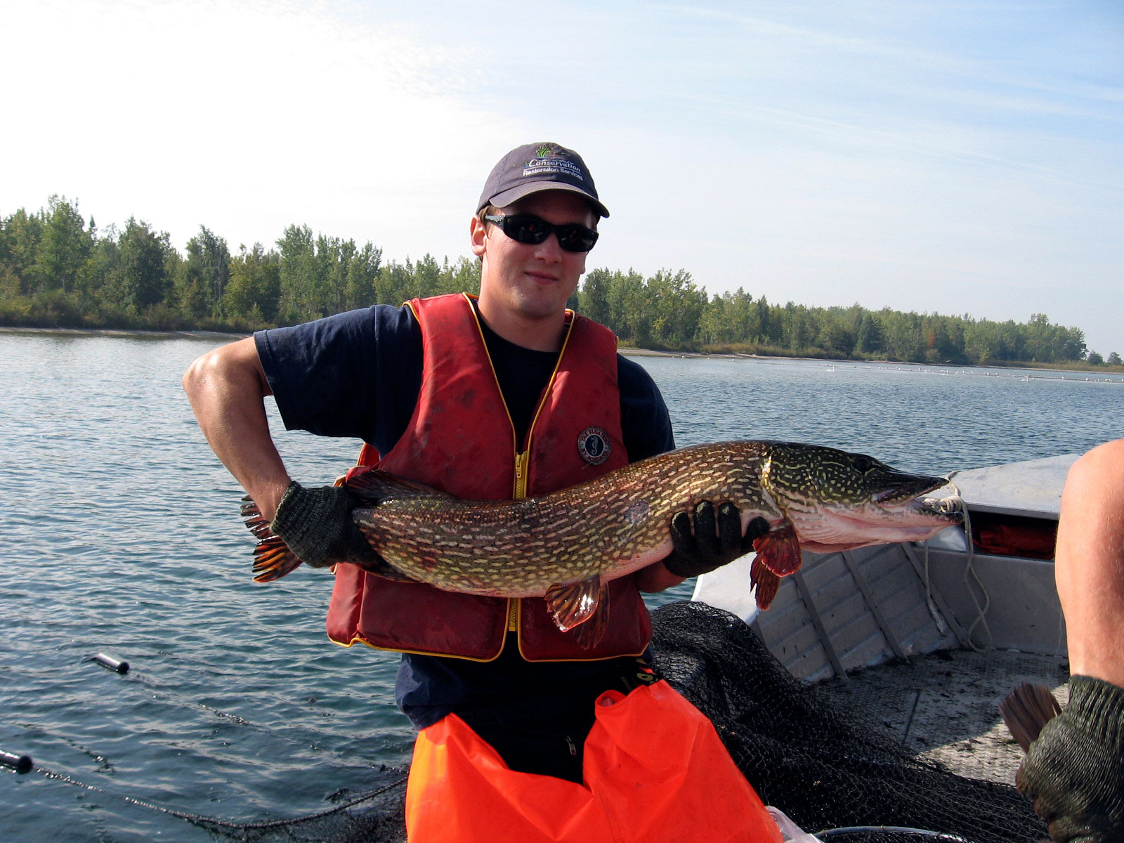 A TRCA staff person holding a large Northern Pike A TRCA staff person holding a large Northern Pike