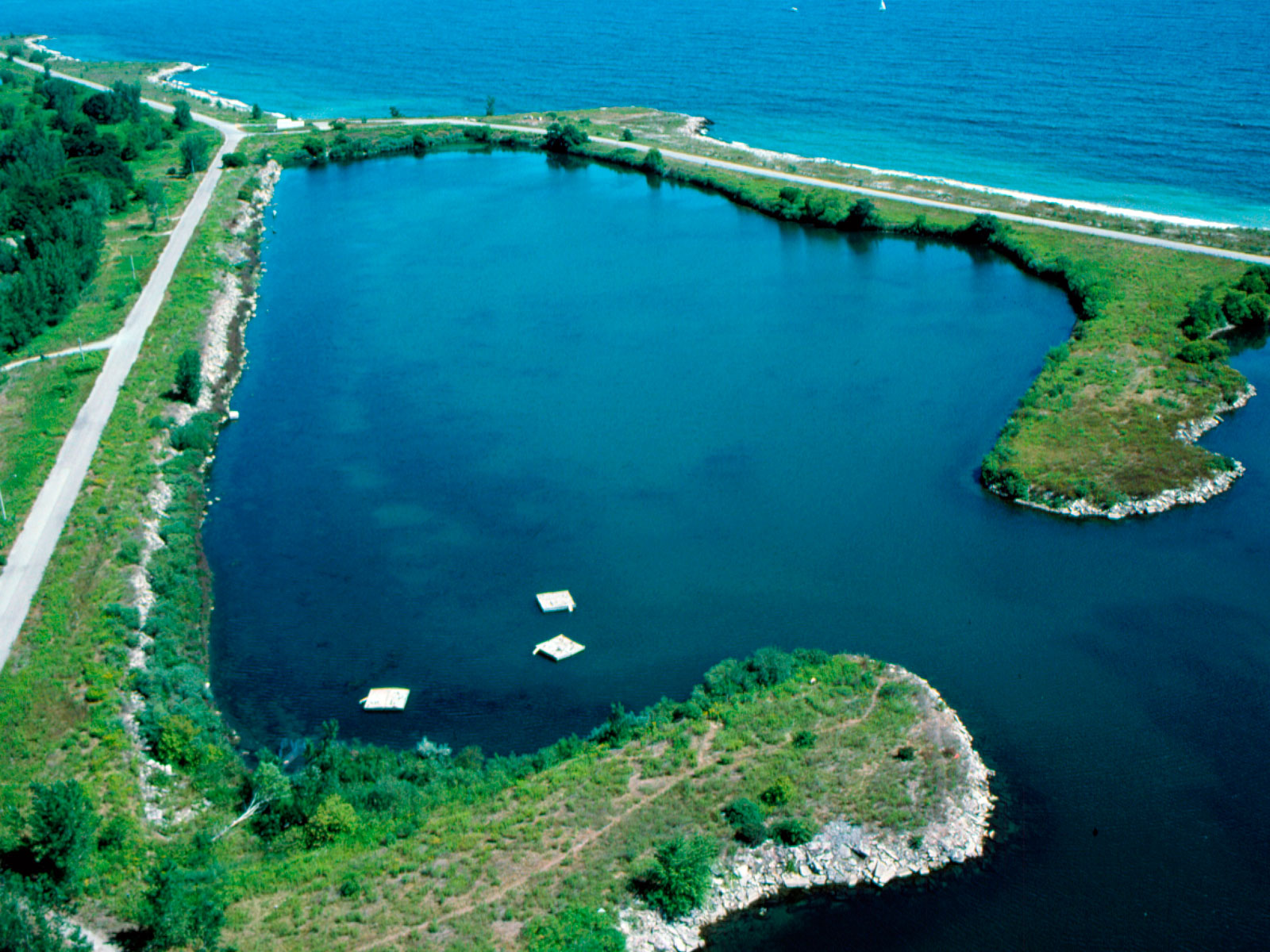 Restoraion Cell 1 at Tommy Thompson Park Restoraion Cell 1 at Tommy Thompson Park
