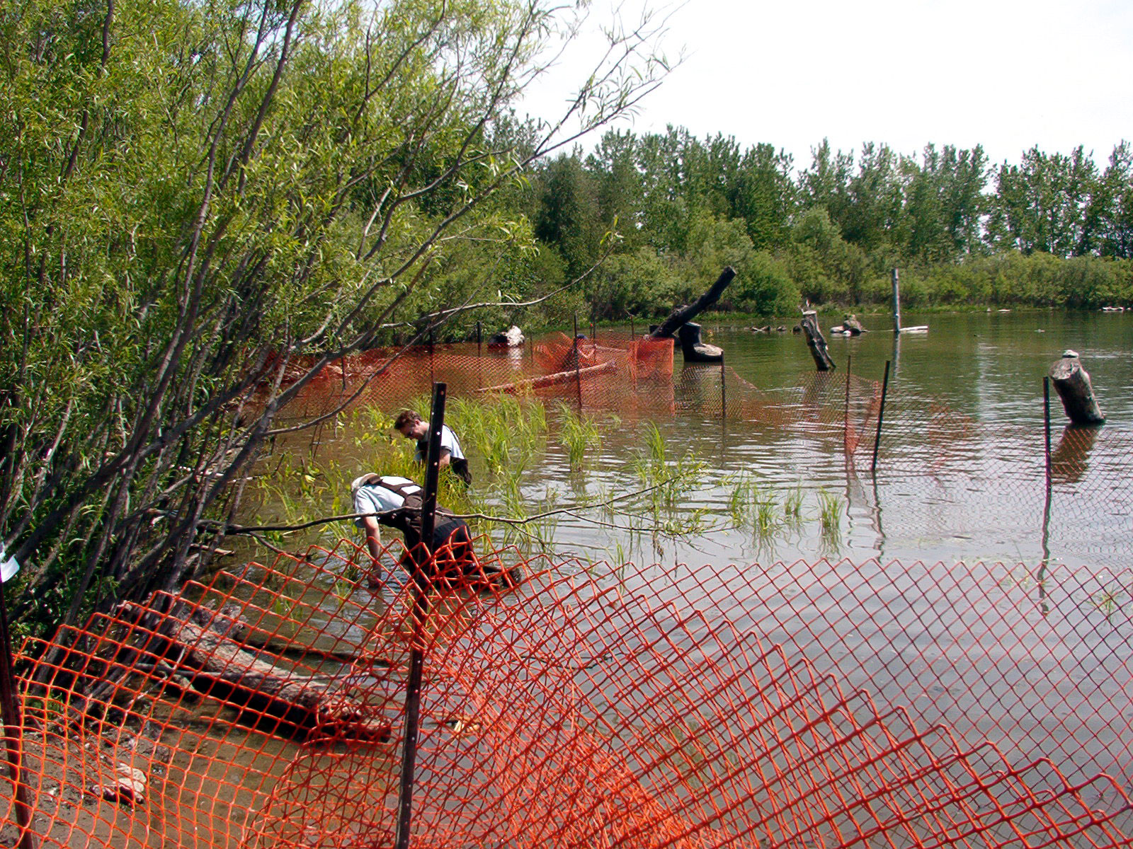 An embayment An embayment