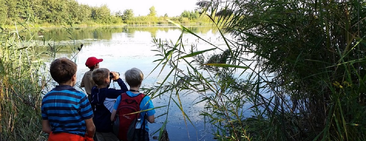 students search for birds in a wetland area at Tommy Thompson Park