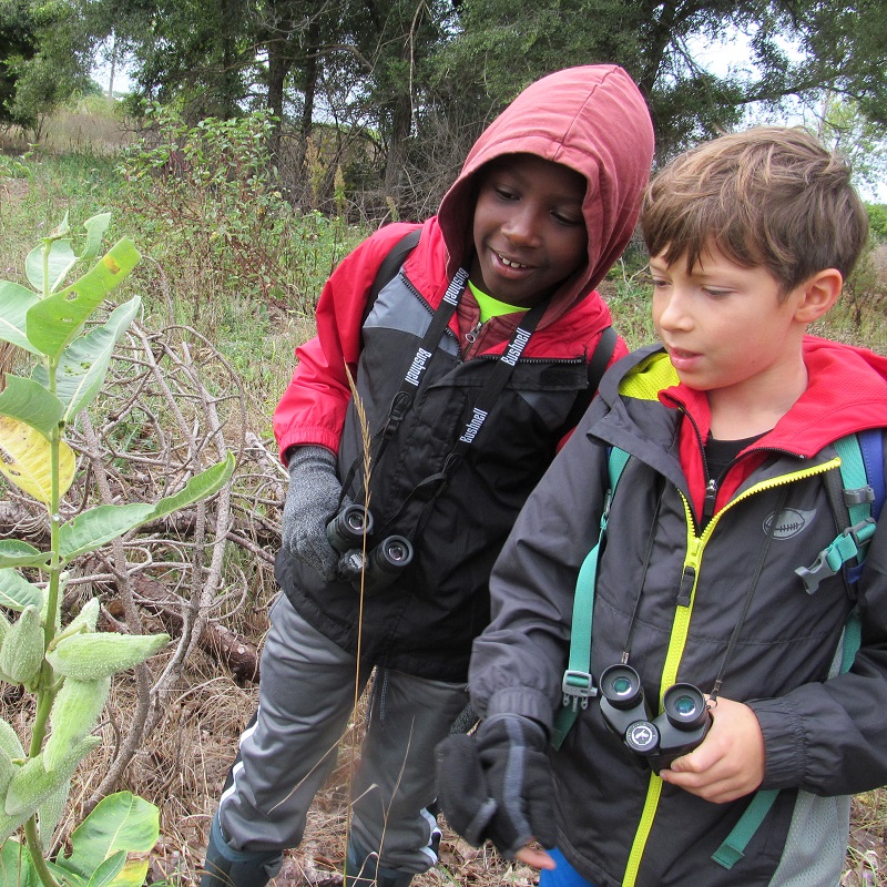 students examine native plant life during a PA Day camp at Tommy Thompson Park