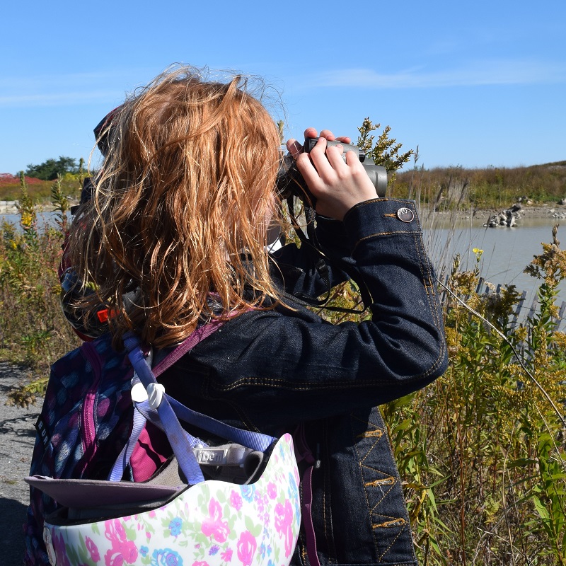 student uses binoculars to look for birds in a wetland area at Tommy Thompson Park